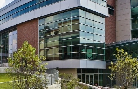 Image of Ob/Gyn Grand Rounds