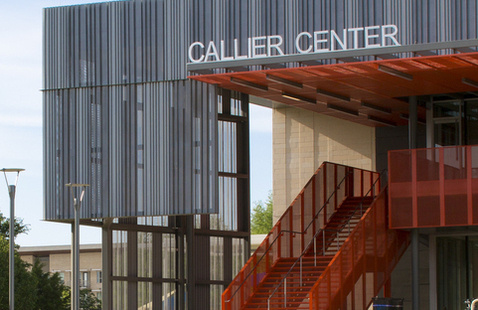 Image of Callier Center Richardson Addition (CRA)