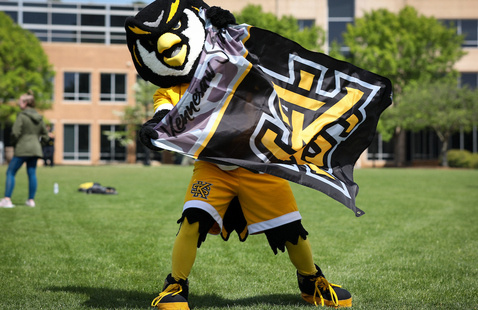 KSU Scrappy mascot wearing black and gold stands on a grassy campus lawn, holding a large KSU flag, with academic buildings visible in the background.