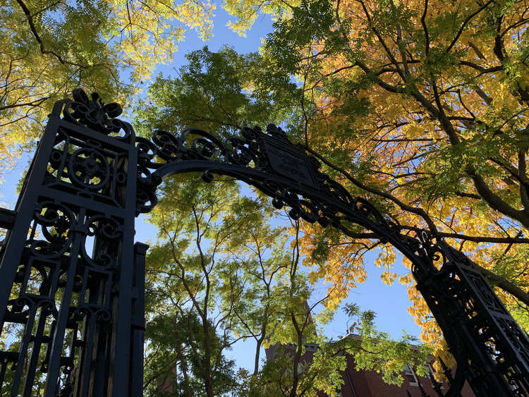 ArtsThursdays at the Peabody Museum