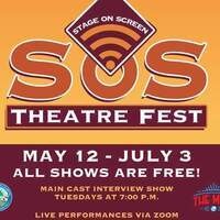 SOS Theatre Fest: The Seagull - Virtual Event