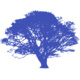 Illustration of a large tree