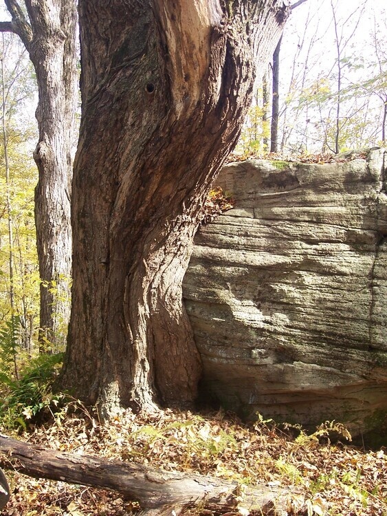 Tannery Trail Hike