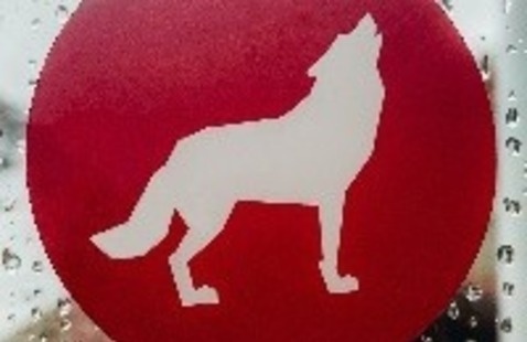 Image of Social Innovation and Entrepreneurship