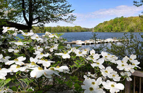 lake