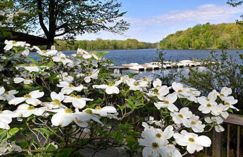 lake
