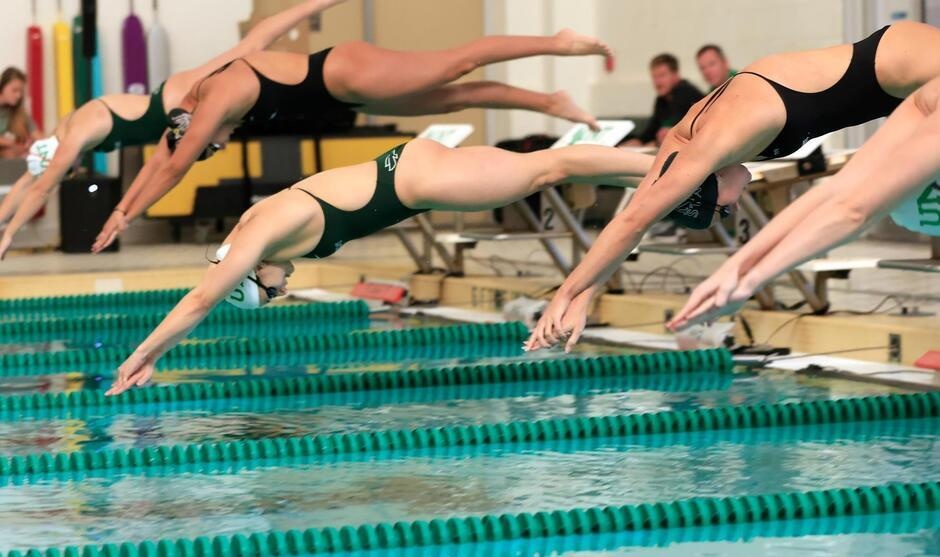 Swimmers diving into a swimming pool.