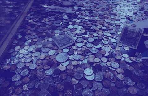 Image of B+ Flower Sale, Sponsored by The Wellness Society