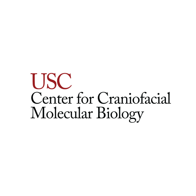 CCMB Seminar: Qiong Mao & Guanchen Ye