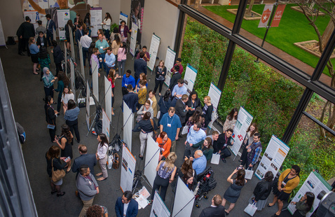 Community, learning, presentation, exhibit, posters
