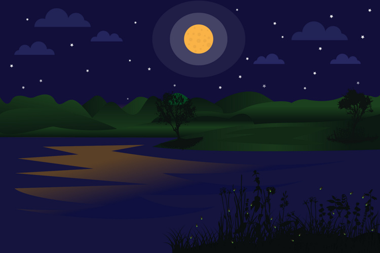 Nature at Night