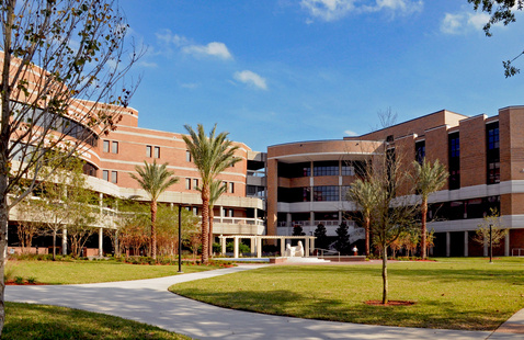 UNF Brooks College of Health 