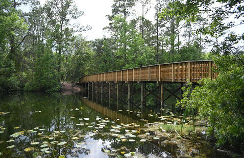 Bridge over the lake