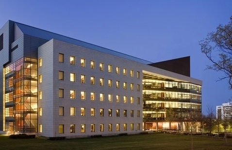 Image of Form follows function: Developmental heterogeneity in pediatric brain tumors 