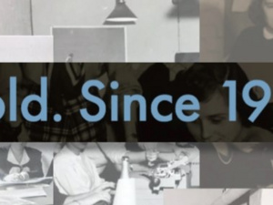 Image of MHN End of Year Party