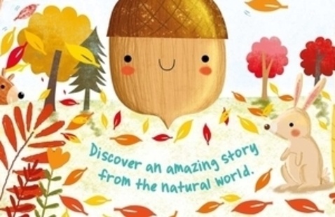 little acorn book cover