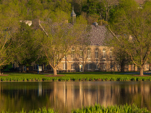 Image of MLK Week: Lifting the Values and Others Through SGA Work