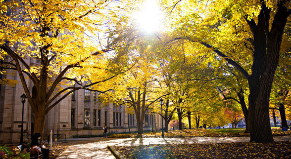 Collective Well-being as an Approach to Academic Advising
