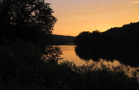 Image of Native Plant Garden Clean-Up 