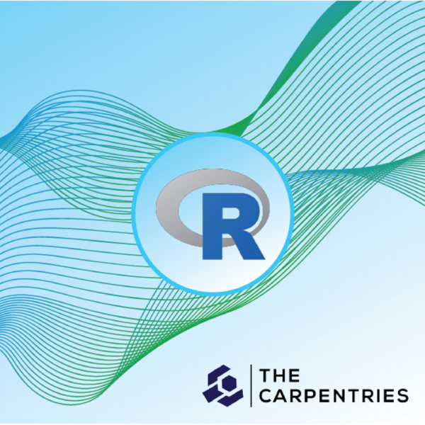 Image of Carpentries @ Stanford: Introduction to R