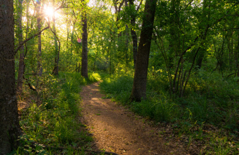 Image of a trail at Lewisville Lake