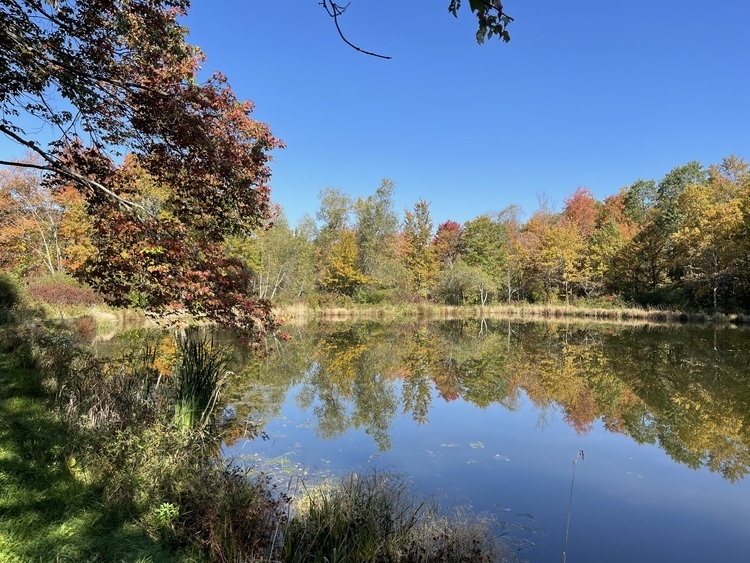 Pond Loop Hike
