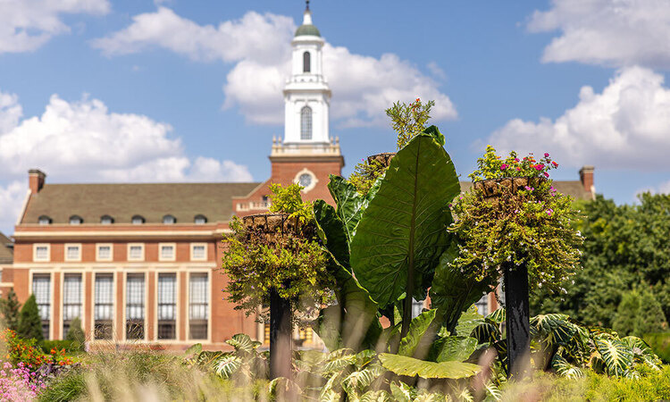 CAMBRIDGE SCHOLARS PROGRAM OKSTATE visual data 5