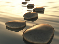 Mindfulness-Based Stress Reduction (MBSR) 8-Week Online Course