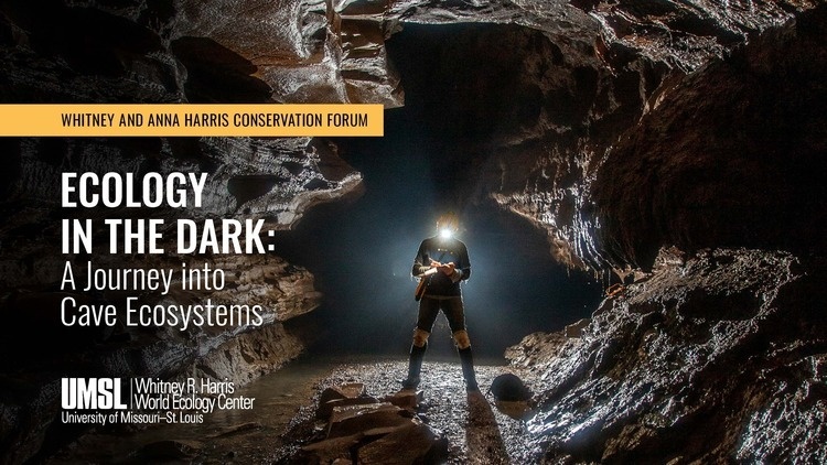 Ecology in the Dark
