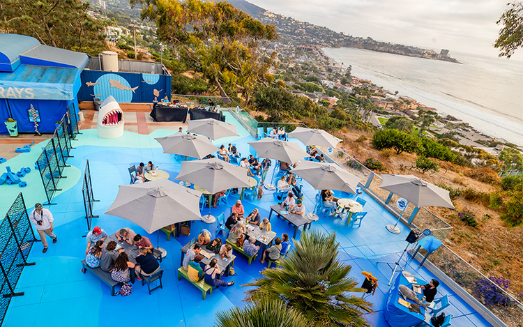 an overhead view of Blue Beach during Shark Summer Trivia Night at Birch Aquarium