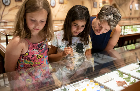A woman and two girls look at glass flowers in the gallery.