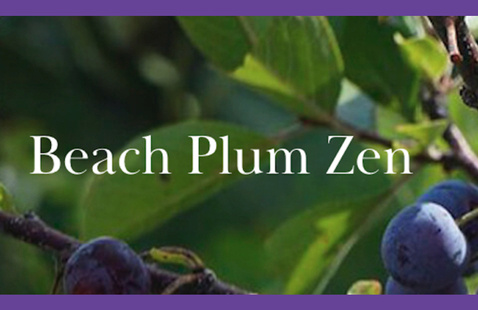 Beach Plum Zen