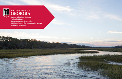 photo of coastal marsh