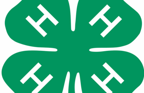 4-H logo