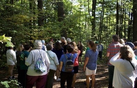 A group birding in Centennial Woods