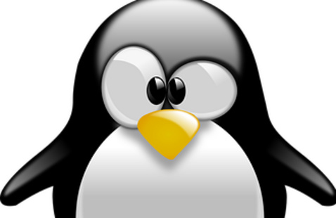 Linux Penguin