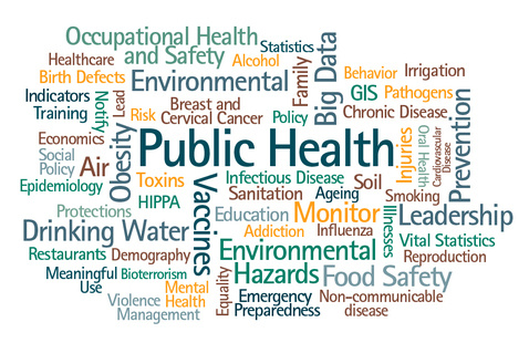Public Health 