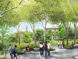 An image of people milling about a forested area.