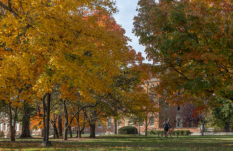 trees in autumn near Stoddard Hall