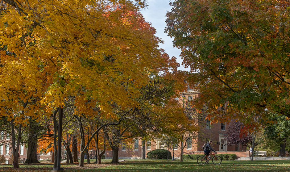 trees in autumn near Stoddard Hall