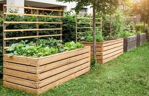 Image of Health Bites: Raised Garden Beds