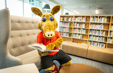 Arty at the Library