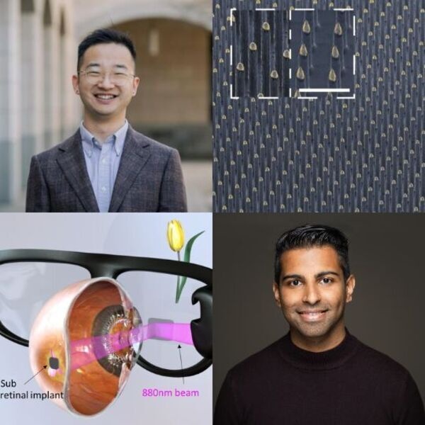 Retinal neural interfaces