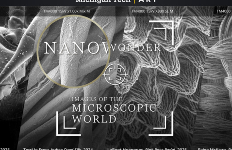 Nanowonder: Images of the Microscopic World - Michigan Tech Art