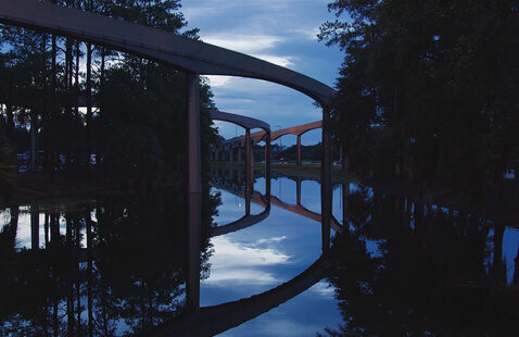 A swamp with curved monorail tracks and trees.