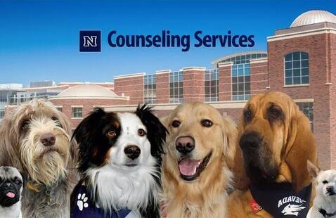 Images of dogs and a building