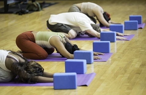 Students in child's pose on yoga mats