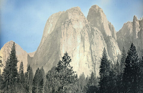 A mountain range with trees