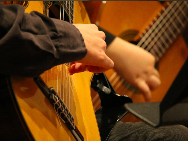 Chamber Music Festival: Classical Guitar  image