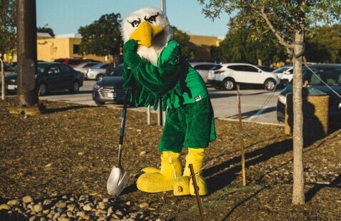 Scrappy holding a shovel, posing next to a tree he just planted.